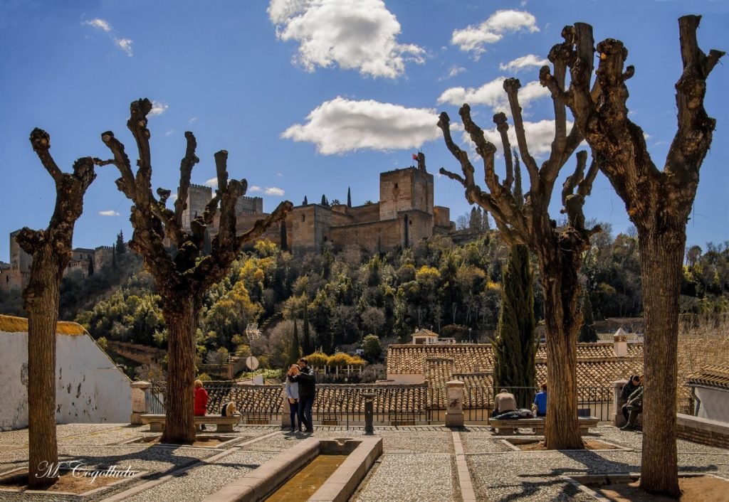 Mirador de los Carvajales